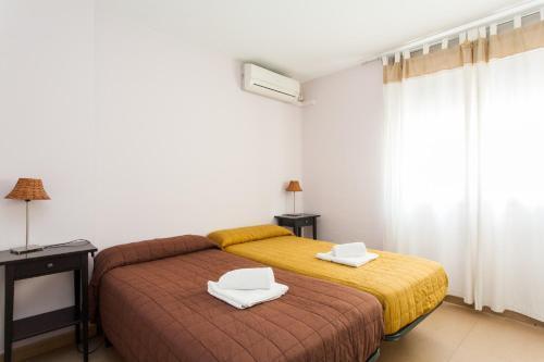 Apartment Inside Salva *